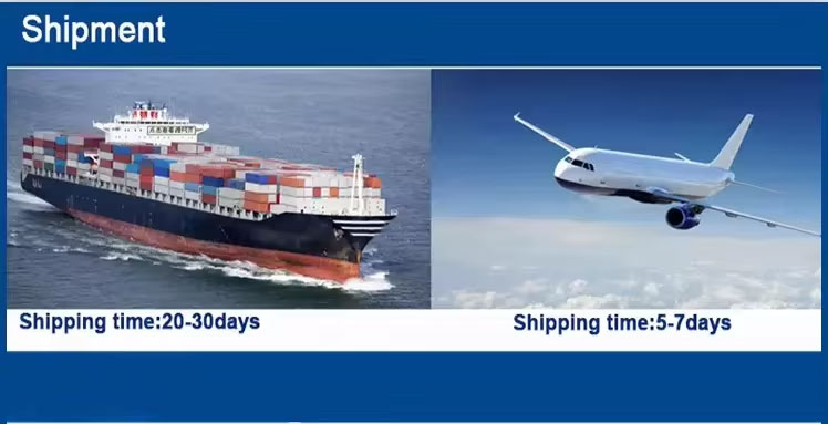 Container shipping logistics