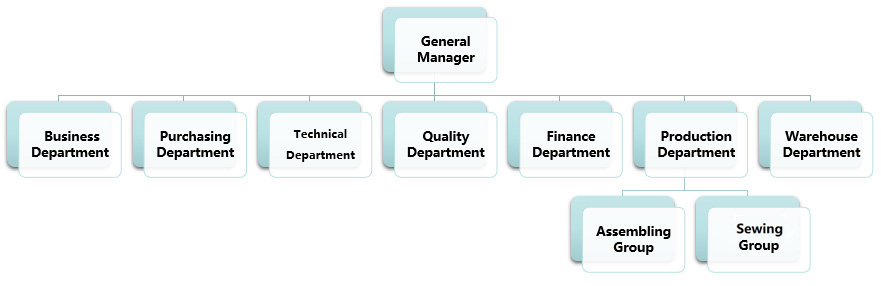 BHW Medical Equipment Co., Ltd. Company Structure Chart